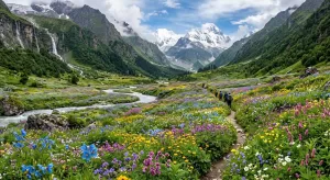 Valley of Flowers : Best Time to Visit, Route, Cost, Entry Fee & Complete Travel Guide